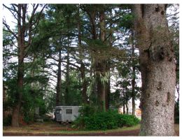 05-imperial-mansion-in-the-woods