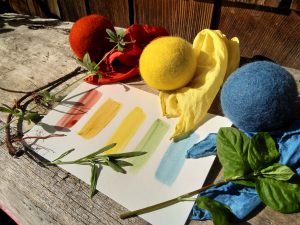 Real Red, True Blue & Fast Yellows: Using Ancient Natural Dyes to Create Lasting Beauty with instructor Iris Sullivan Daire