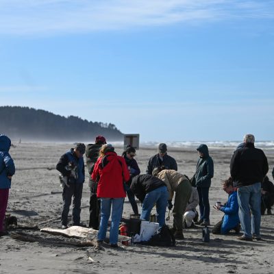 Haley at Arts Week, Sou'wester Lodge
