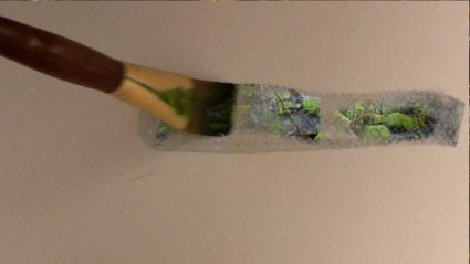 A paintbrush coated in green moss and lichen rests against a white surface