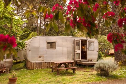 Vintage travel trailer with its door open, framed by pink rhododendron blossoms