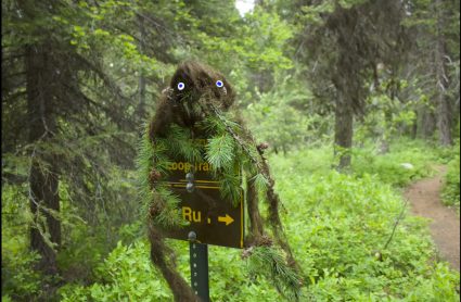 A furry creature puppet with wide eyes perched on a wooden forest trail sign