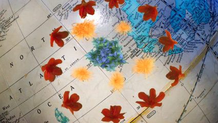 Dried red and orange flowers and a small blue cluster arranged on a vintage map of the North Atlantic