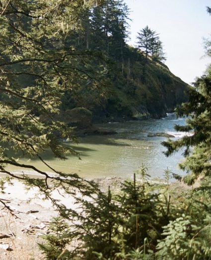 A quiet forested cove with calm green water between rocky cliffs