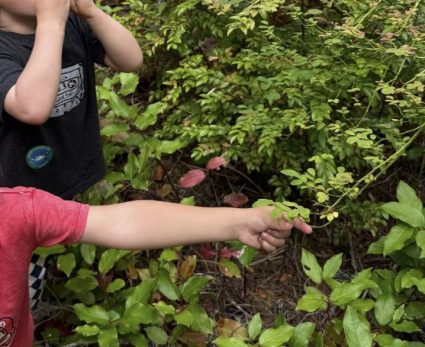A child reaches out to touch a leafy plant while another child covers their eyes nearby