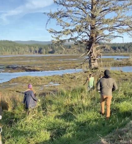 A small group walks through tall marsh grass near a slough with a bare tree and distant hills