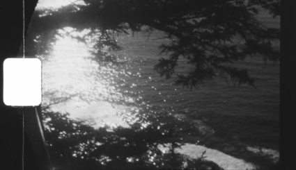 Black and white film still of sunlight sparkling on water through overhanging tree branches